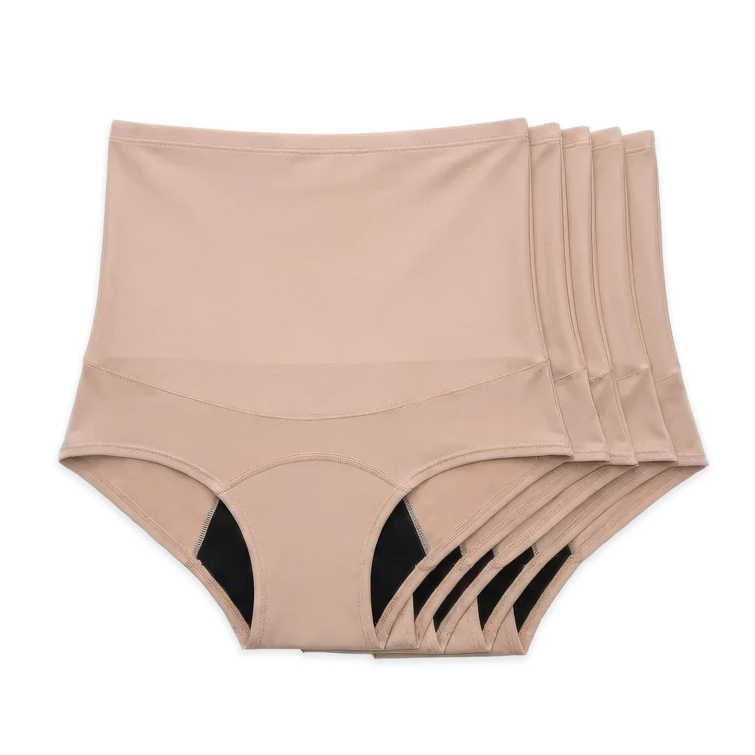 Leakproof Shaping Brief (10-Pack)